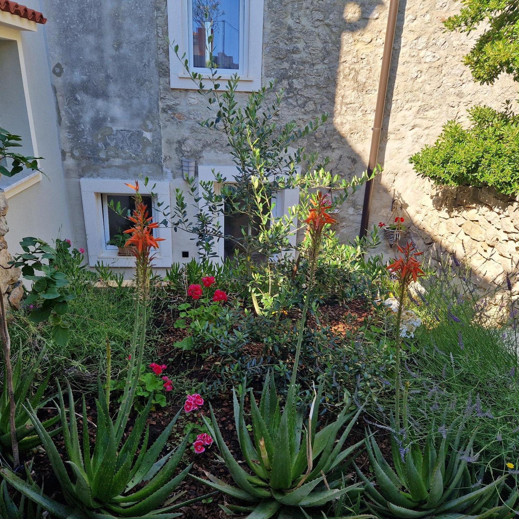 Castel Mali Lošinj Exterior foto